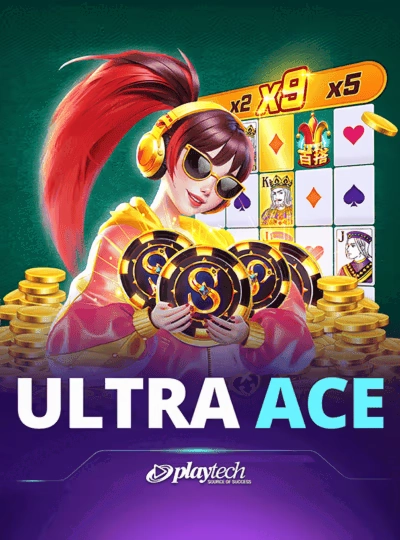 bet229